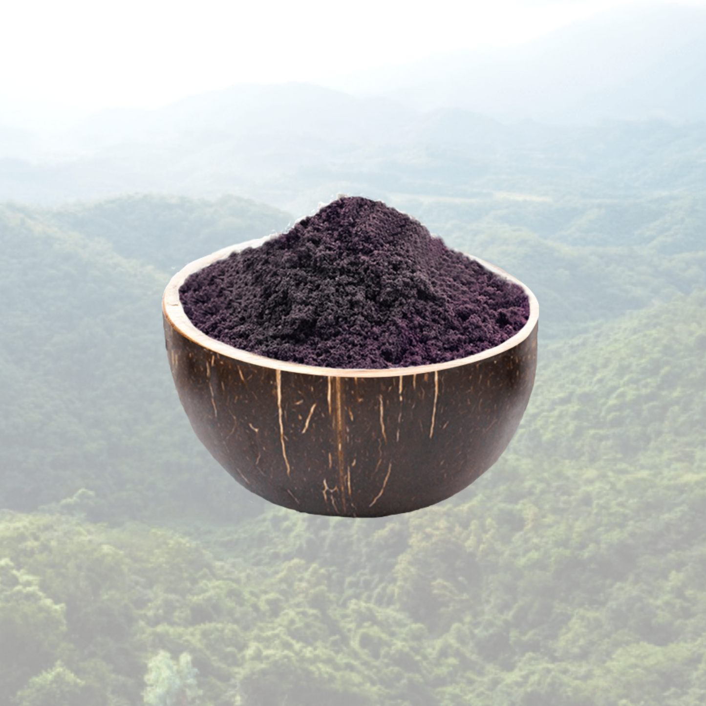 Amavico acai powder in a coconut bowl