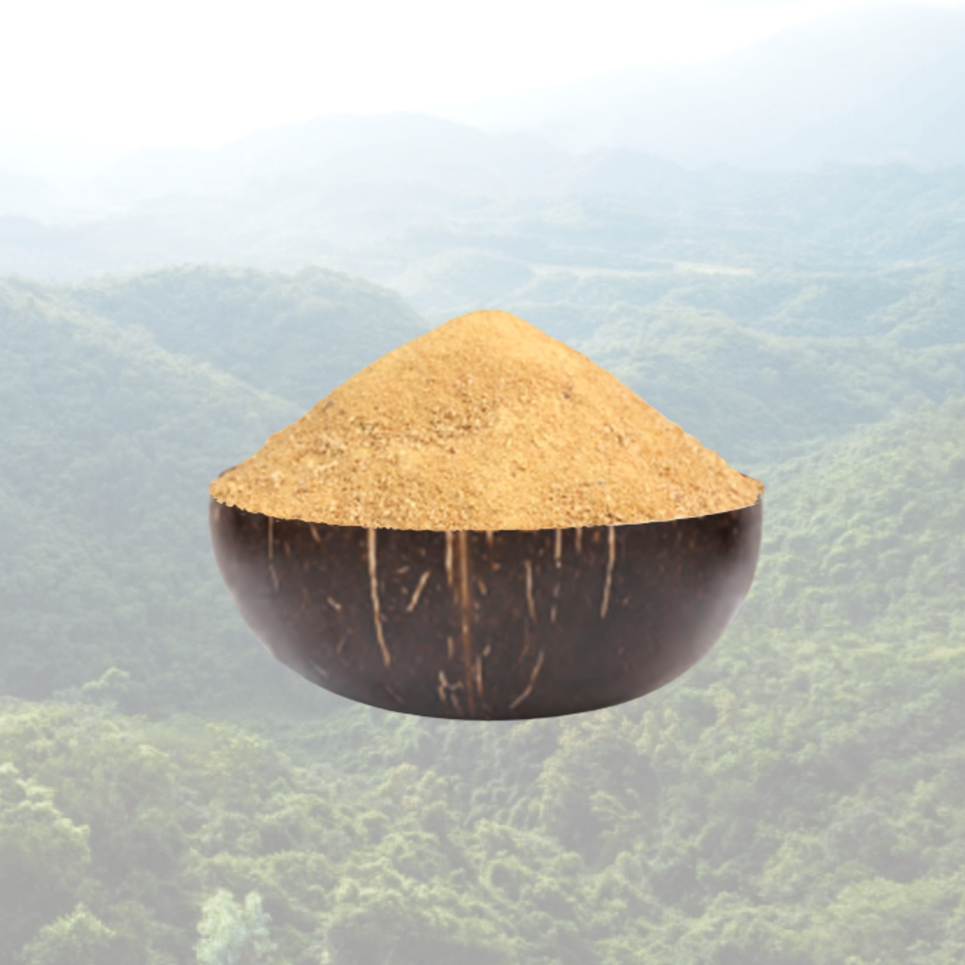 Amavico acerola cherry powder in a coconut bowl